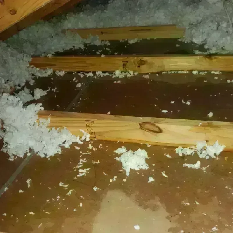 Attic Water Damage in Santa Margarita, CA