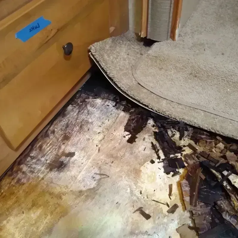 Wood Floor Water Damage in Santa Margarita, CA